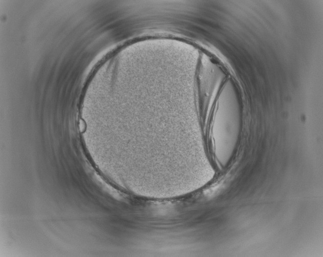 X0000077350799200611171857