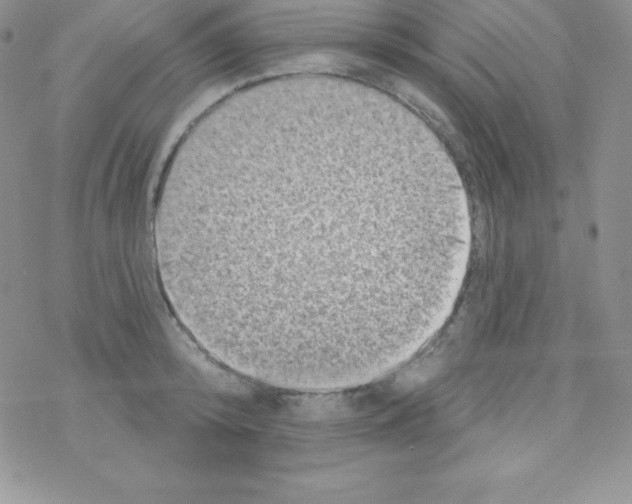 X0000077350800200611171857