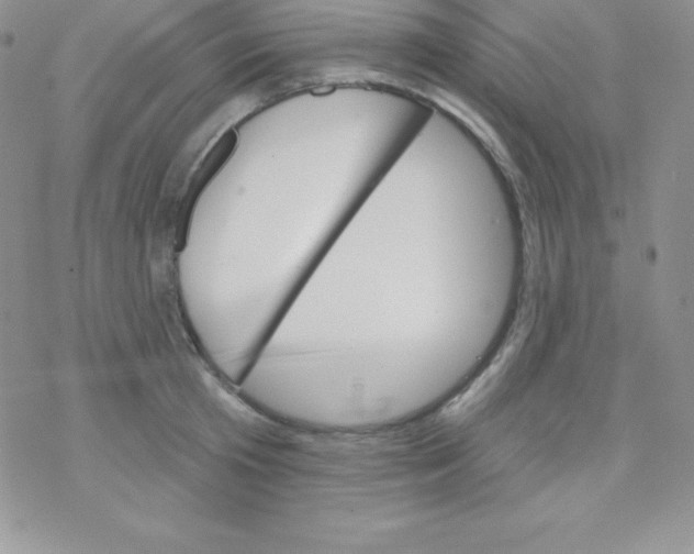 X0000077350801200611171857