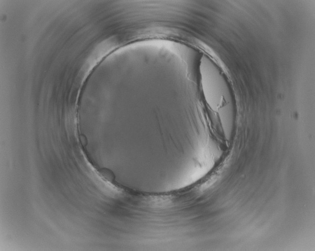 X0000077350802200611171857