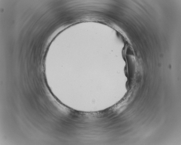 X0000077350803200611171857