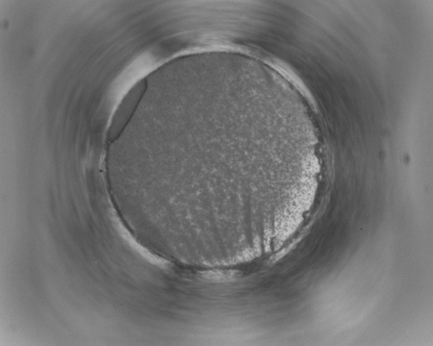 X0000077350805200611171857