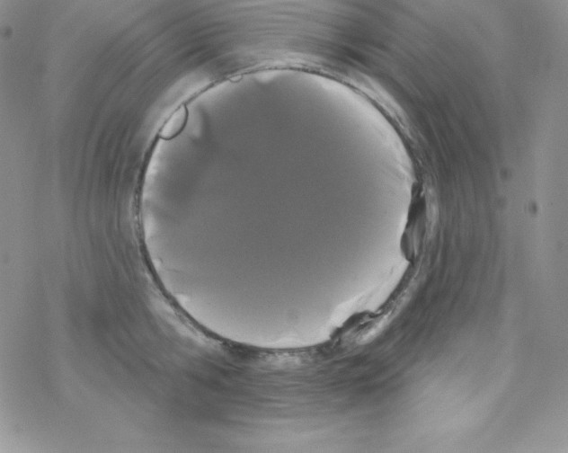 X0000077350806200611171857