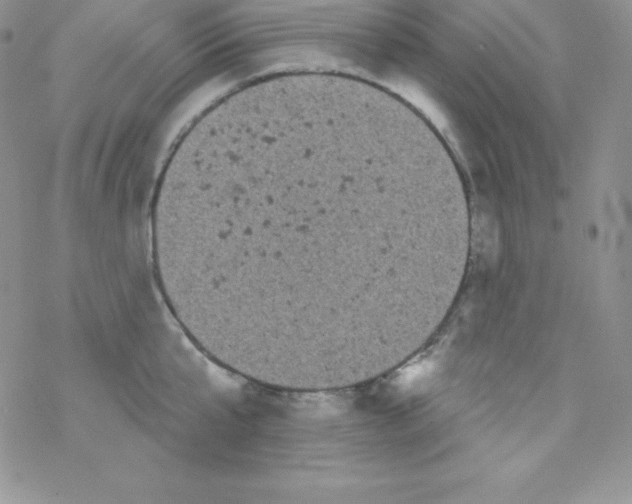 X0000077350807200611171856