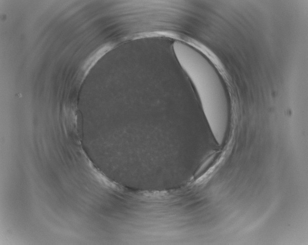 X0000077350809200611171856