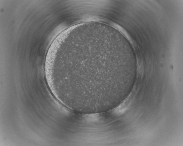 X0000077350810200611171856