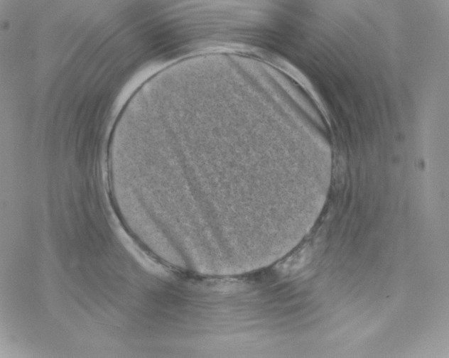 X0000077350811200611171856