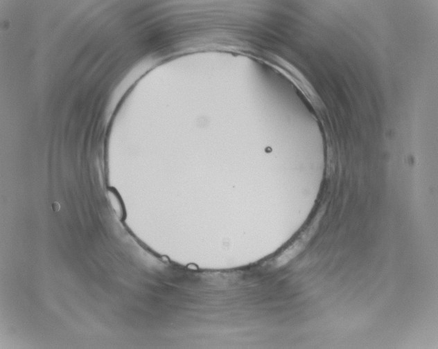 X0000077350812200611171856