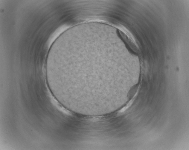 X0000077350814200611171856