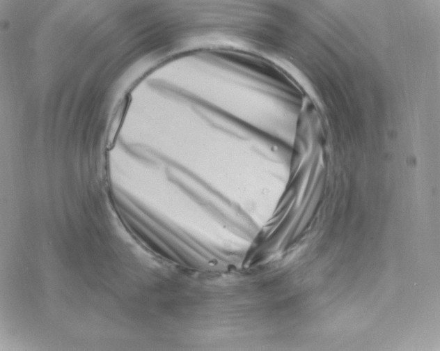 X0000077350815200611171856