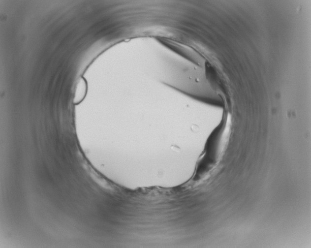 X0000077350816200611171856