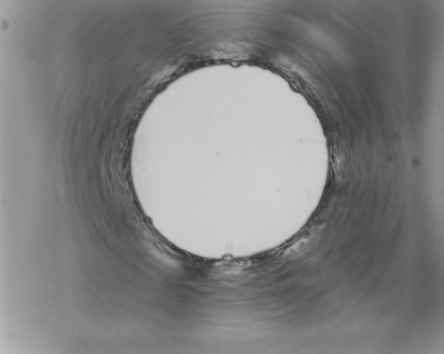 X0000077350817200611171856