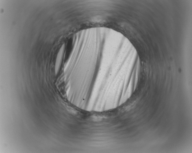 X0000077350818200611171856