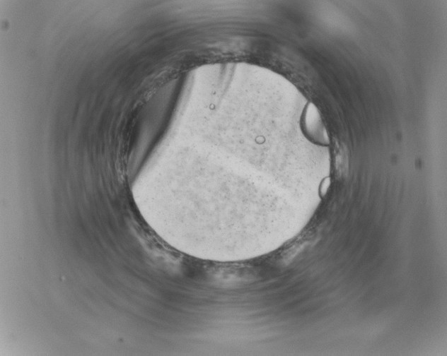 X0000077350819200611171856