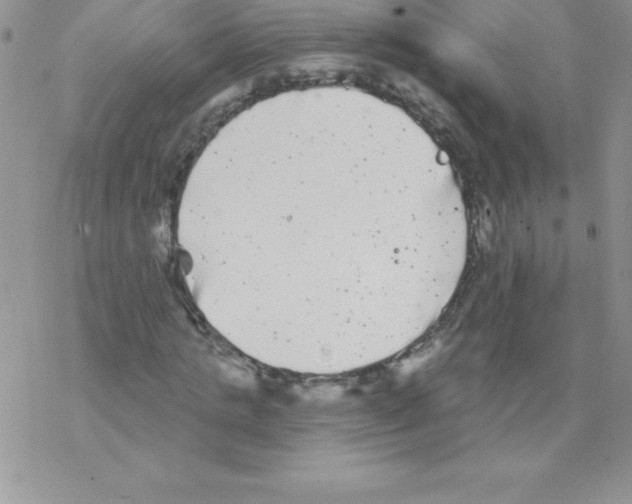 X0000077350821200611171856