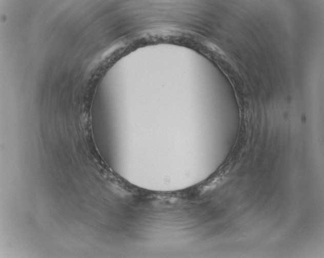 X0000077350822200611171856