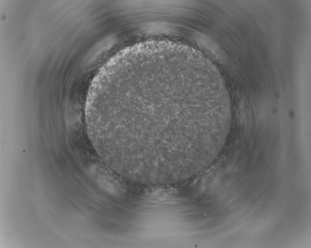 X0000077350824200611171856