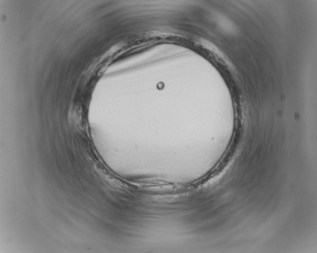 X0000077350825200611171856