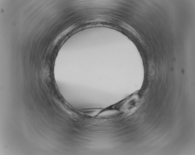 X0000077350826200611171856