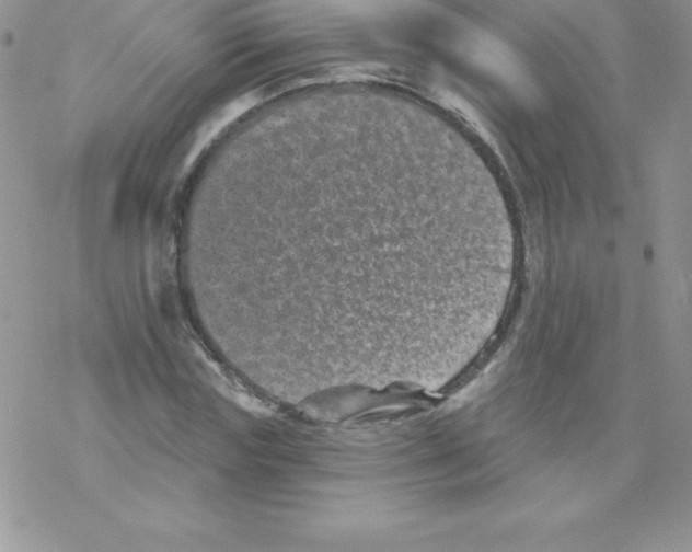 X0000077350827200611171856