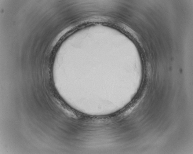 X0000077350829200611171856