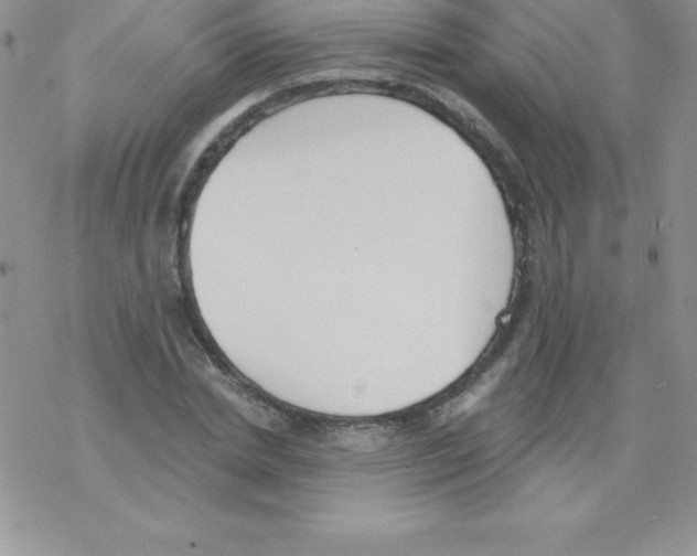 X0000077350830200611171856