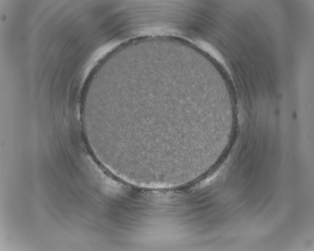 X0000077350831200611171856