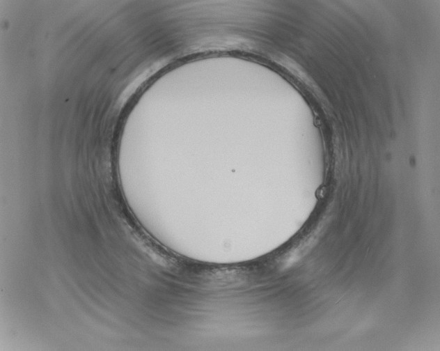 X0000077350834200611171856