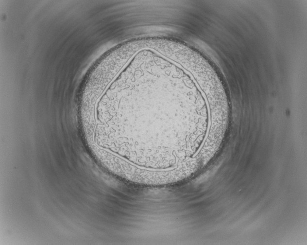 X0000077350835200611171856