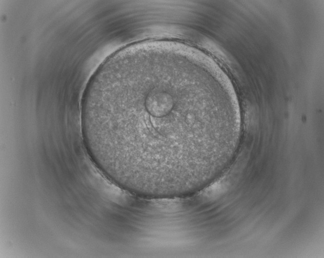 X0000077350836200611171856