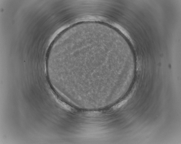 X0000077350837200611171856