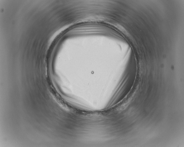 X0000077350838200611171856