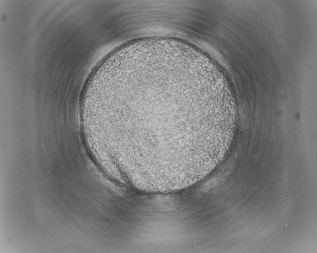 X0000077350839200611171856