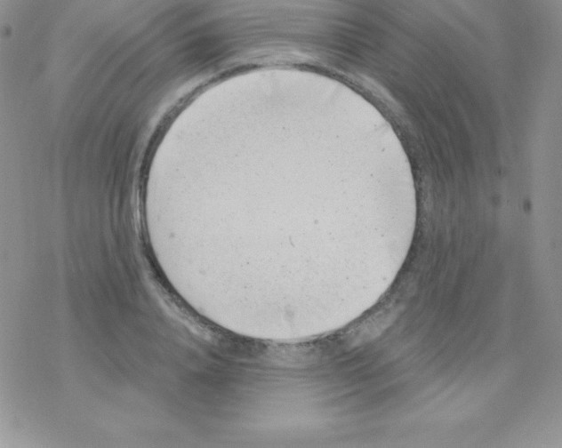 X0000077350840200611171856