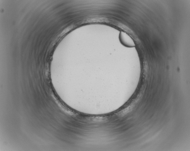 X0000077350841200611171856