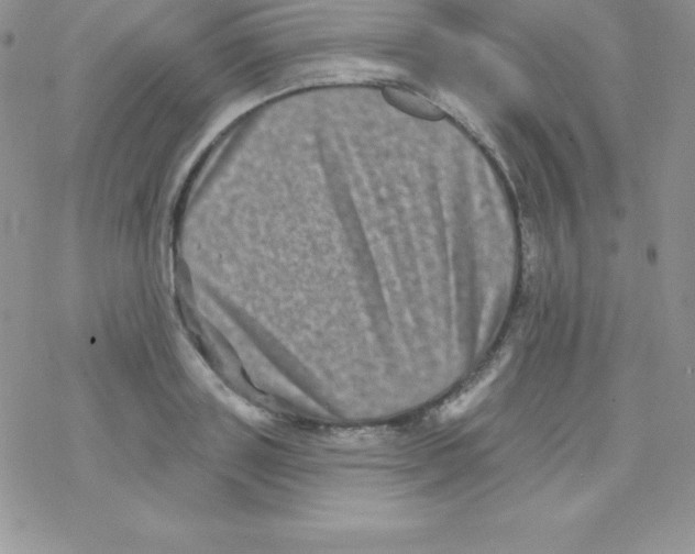 X0000077350843200611171856