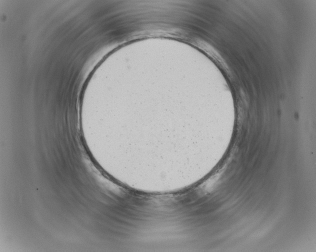 X0000077350844200611171856