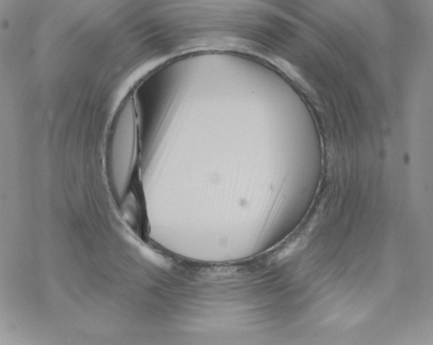 X0000077350846200611171856