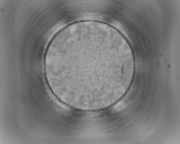 X0000077350848200611171856