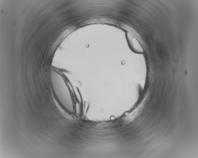 X0000077350849200611171856