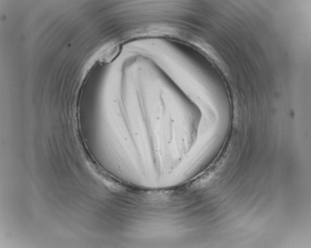 X0000077350850200611171856