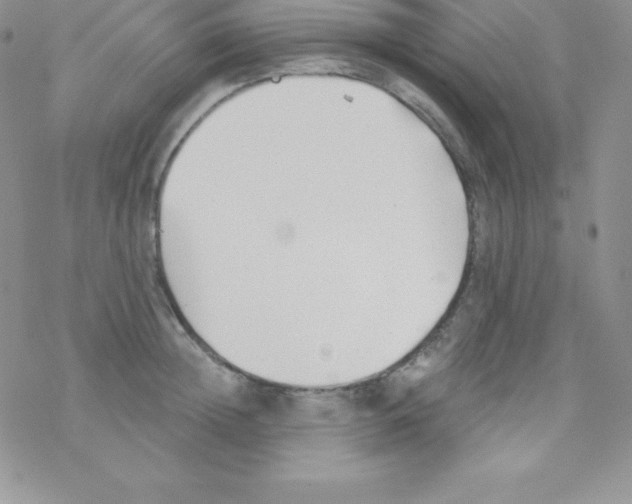 X0000077350852200611171856