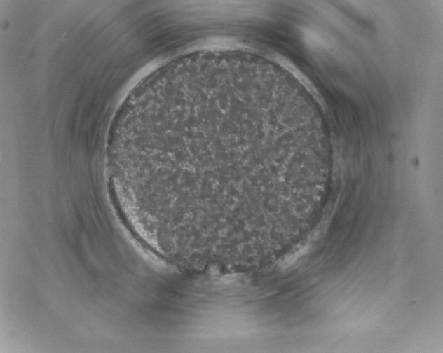 X0000077350853200611171856