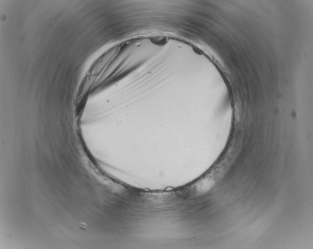 X0000077350854200611171856