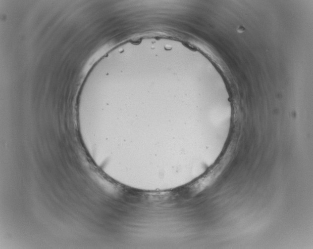 X0000077350858200611171856