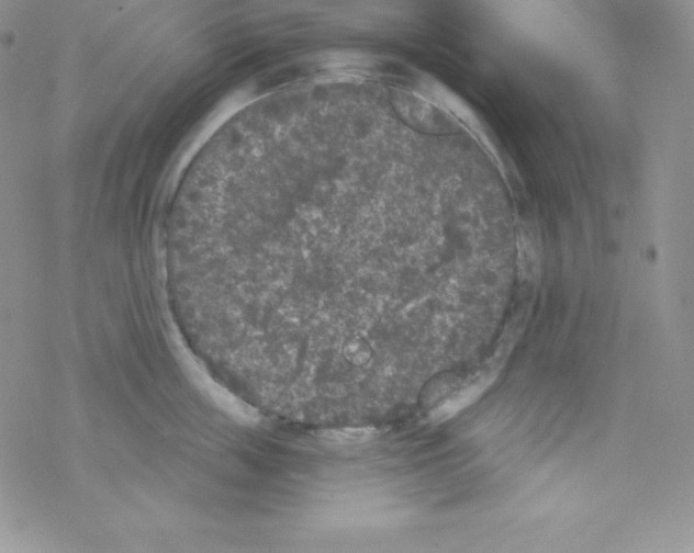 X0000077350859200611171856