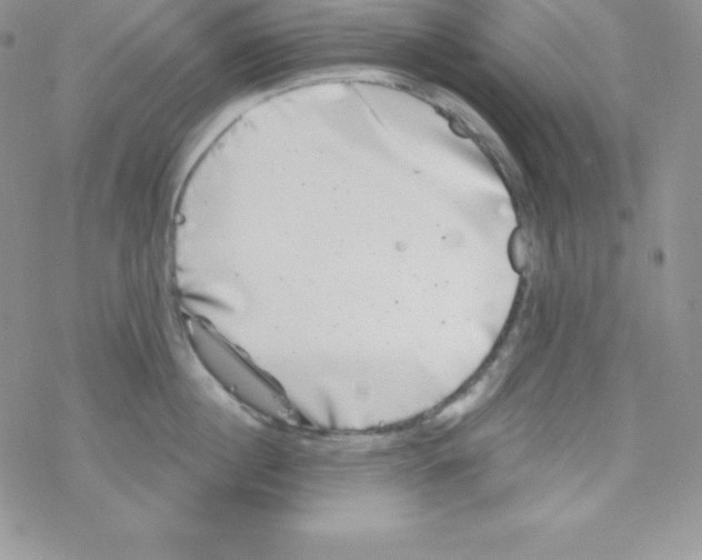 X0000077350860200611171856