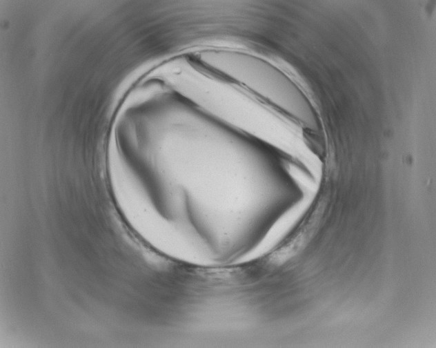 X0000077350862200611171856