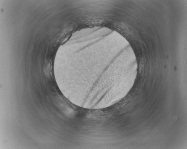 X0000077350866200611171856