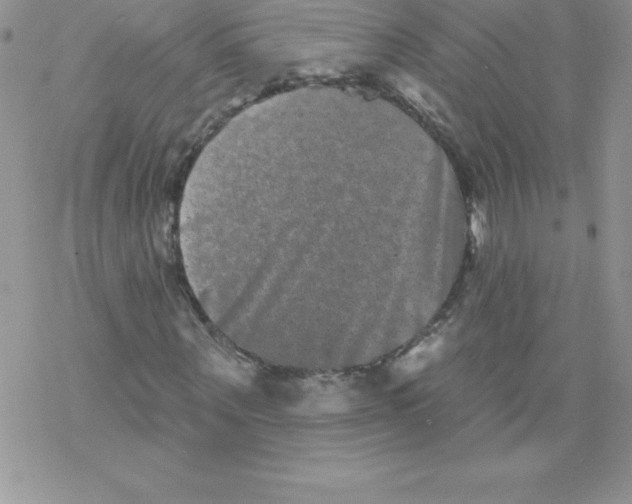 X0000077350867200611171856